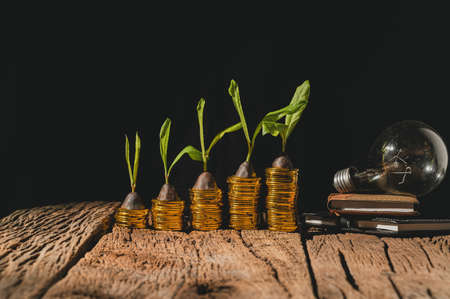 Business financial growth light bulb ideaの写真素材