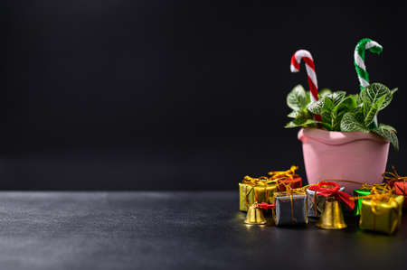 Merry Christmas concept backgroundの写真素材