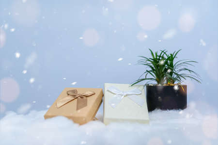 Christmas gift box idea  snowの写真素材