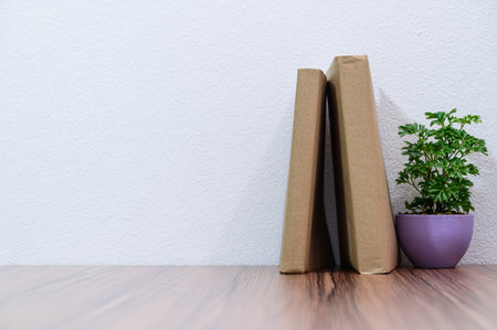 concept of reading a book is at the desk in the room