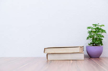 concept of reading a book is at the desk in the roomの写真素材