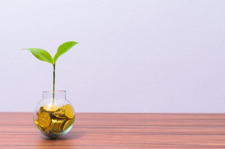 Money tree planting idea at your desk