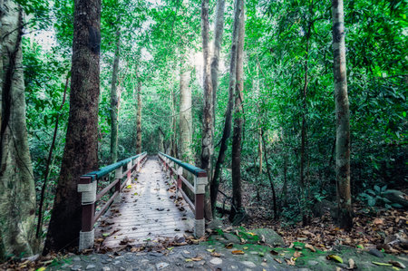 Concept of forest travel, trees love nature