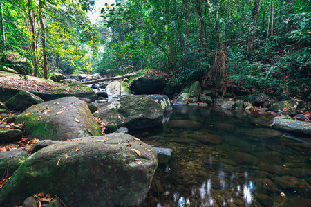 Travel concept of Khao Chamao Waterfall National Park love nature