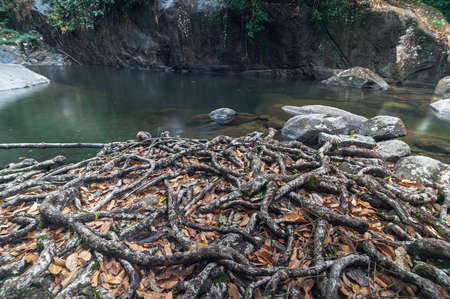 Travel concept of Khao Chamao Waterfall National Park love natureの写真素材