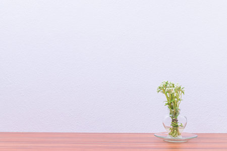 Pots and plants are at your desk