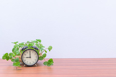 Clock and tree At the desk