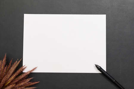 Blank paper and pen on the desk top viewの写真素材