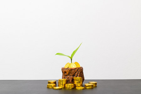 concept of financial growth in a stacked business On the desk in the officeの写真素材
