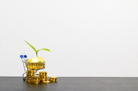 concept of financial growth in a stacked business On the desk in the officeの写真素材