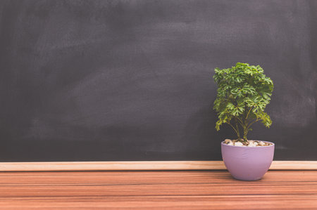 plant pot on the desk Background blackboard Love tree conceptの写真素材