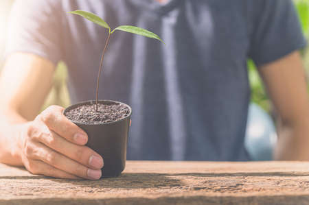 Man holding a plant pot. Concept of love for plants.の写真素材