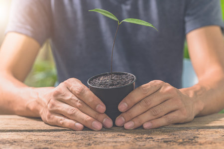 Man holding a plant pot. Concept of love for plants.