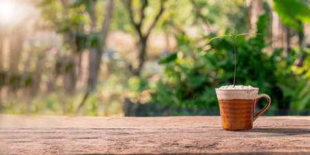 Planting trees in pots. Concept of love plants. Love the environment.の写真素材