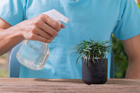 The water sprayer of plants in pots.の写真素材