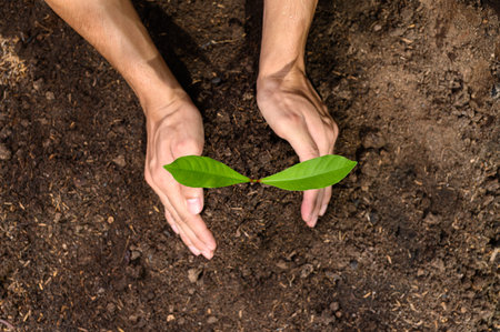 World Environment Day,  Planting trees and love the environment, love nature.