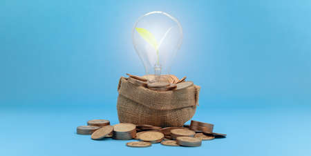 concept investment stock finance growth saving moneyの写真素材