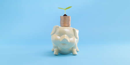 Growing Money business finance and saving money investment concept stacking coinsの写真素材