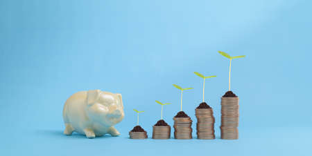 Growing Money business finance and saving money investment concept stacking coinsの写真素材