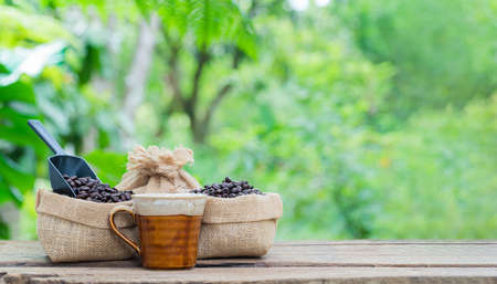 coffee beans coffee cup energyの写真素材