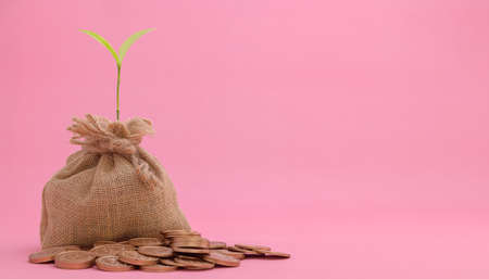 Save money, invest in stocks, grow financially.の写真素材