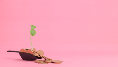 Save money, invest in stocks, grow financially.