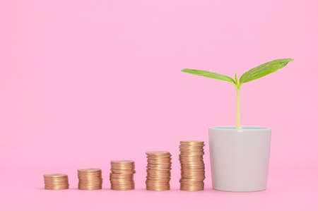 stacked coin concept financial growth stocks invest taxes incomeの写真素材