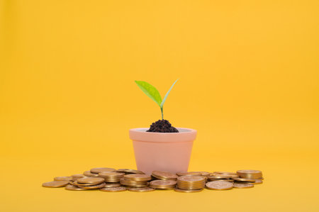 save money, invest in stocks, financial growth, incomeの写真素材
