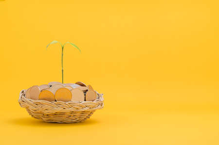 save money, invest in stocks, financial growth, incomeの写真素材