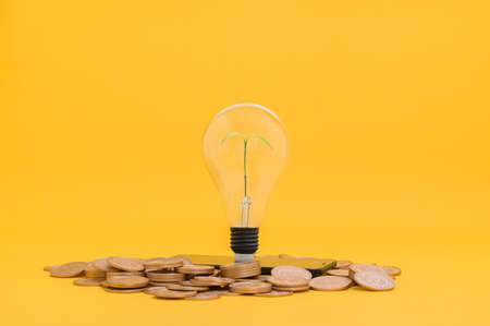 save money, invest in stocks, financial growth, incomeの写真素材