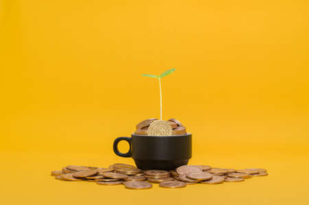 save money, invest in stocks, financial growth, incomeの写真素材