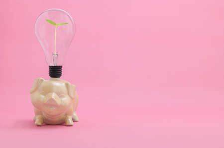 Piggy bank idea to save moneyの写真素材