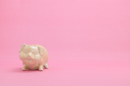 Piggy bank idea to save moneyの写真素材