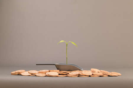 Ideas to grow income, invest, stock, saveの写真素材