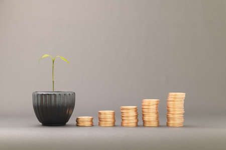 concept of stacked coins Finance to grow income, invest in stocks, trade, save moneyの写真素材