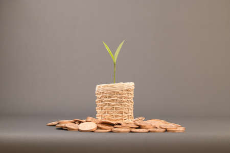 Ideas to grow income, invest, stock, saveの写真素材