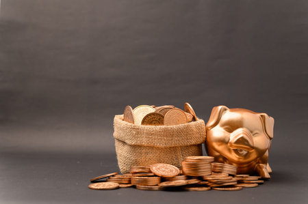 Piggy bank showing savings, income, investments, stocks