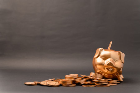 Piggy bank showing savings, income, investments, stocks