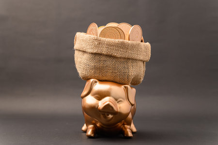 Piggy bank showing savings, income, investments, stocks