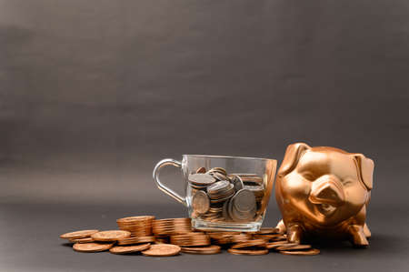 Piggy bank showing savings, income, investments, stocksの写真素材