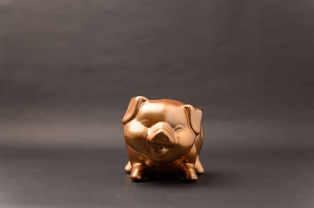 Piggy bank showing savings, income, investments, stocksの写真素材