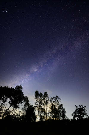 sky and the stars, the Milky Way in the night itselfの写真素材