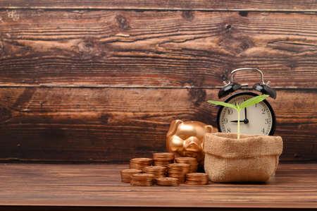 Save money, invest, stock, grow financial income.の写真素材