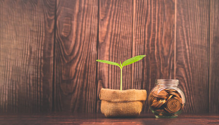 save money, invest stocks, financial incomeの写真素材