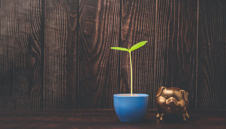 piggy bank save piggy bankの写真素材