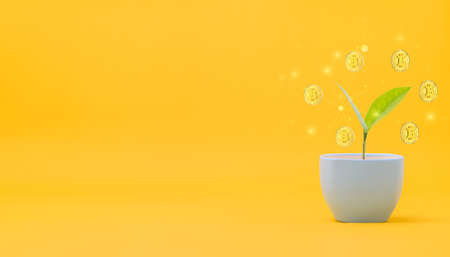 Trade trading crypto currency coins Bitcoin Exchanges Invest Metaverse stocksの写真素材