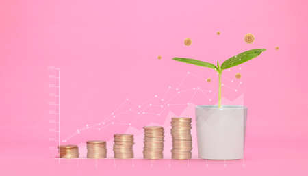 Trade trading crypto currency coins Bitcoin Exchanges Invest Metaverse stocksの写真素材