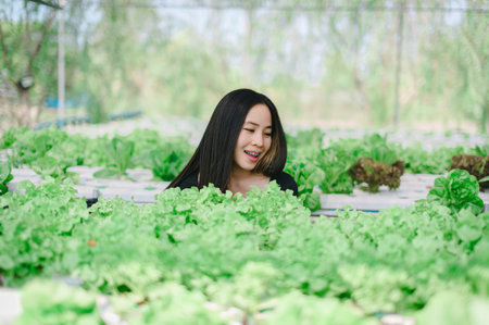 Woman with vegetable plot, hydroponics, Eat vegetables for a healthy body, strong and bright.