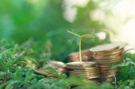 saving Investment, trade, save and make a profit with interest, Growing Money, Plant On Coins, Finance And Investment Concept, trading, trader, investor, invest, metaverseの写真素材