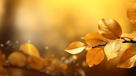 Autumn season September 22 to December 21 Generative AIの素材
